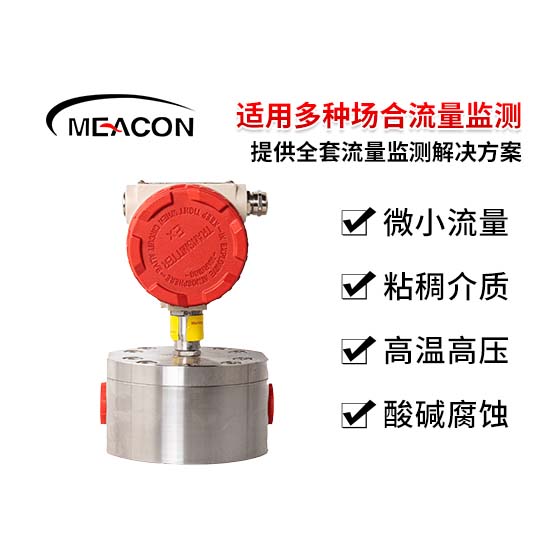 FCG200高精度圆齿轮流量计_圆齿轮流量计_流量计_杭州博天堂网址