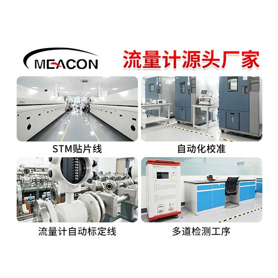 FCG200高精度圆齿轮流量计_圆齿轮流量计_流量计_杭州博天堂网址